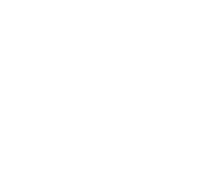 20 year white logo